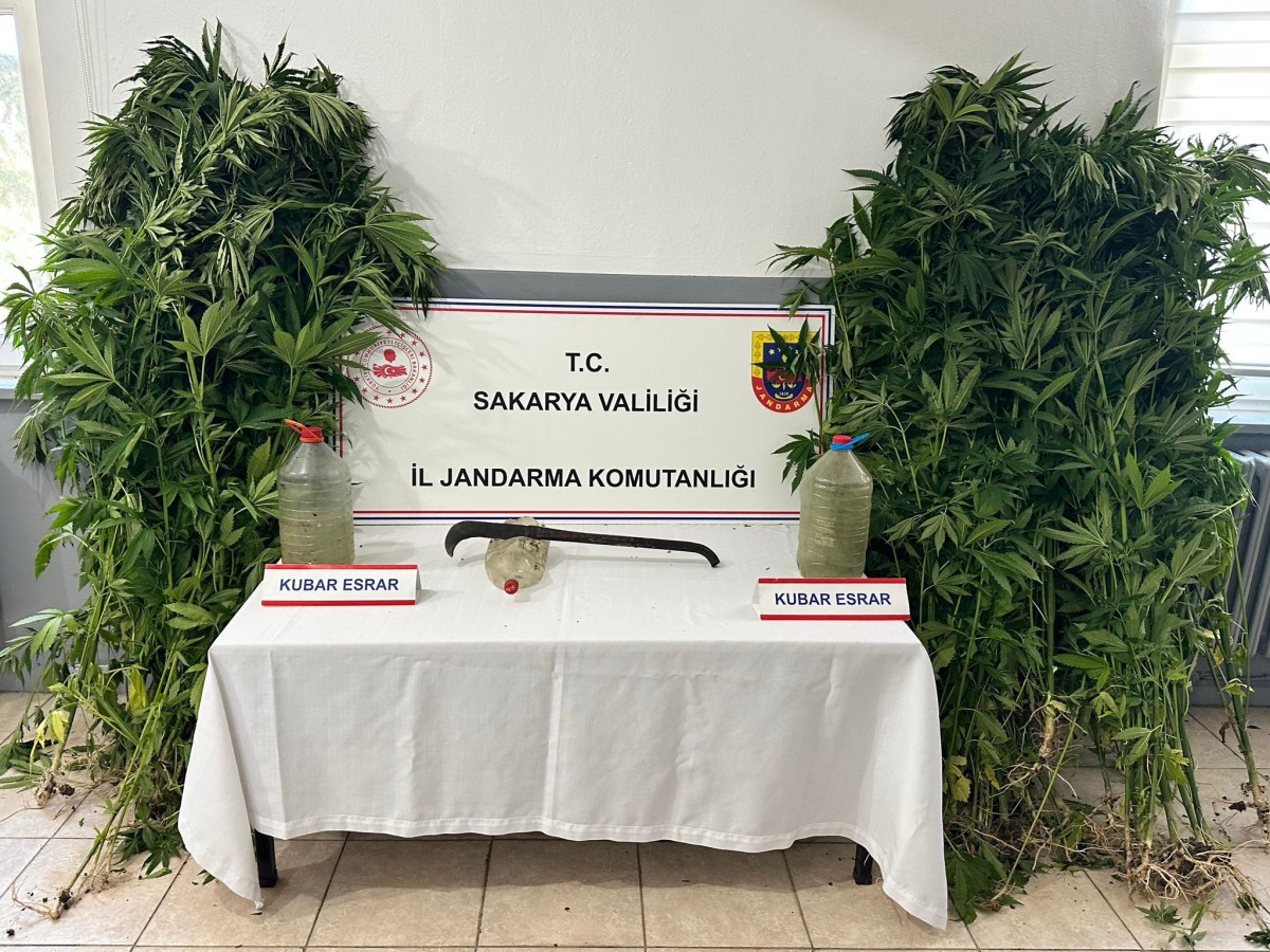 Sakarya'da Uyuşturucu Operasyonu: 3 Tutuklama, Çok Sayıda Uyuşturucu Madde Ele Geçirildi